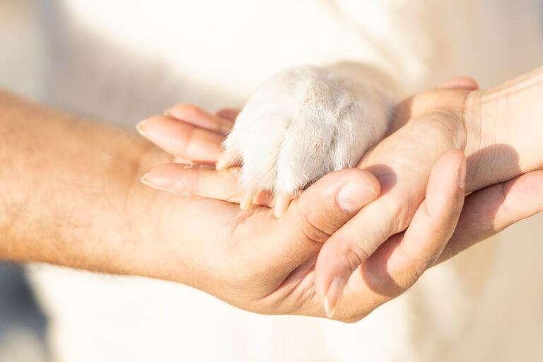 AngeliePhotography_Cooper_2025_-34
