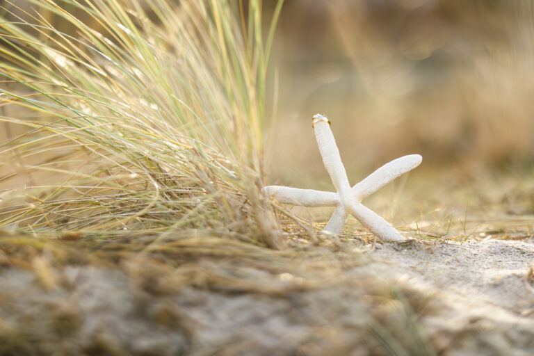 Doreen_and_Sezer_AngeliePhotography_SR-184