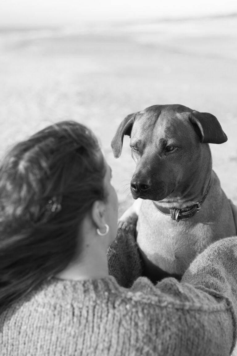 Black-and-white dog photography in Vejers: a dog looks up at its owner in a knit sweater on the beach.