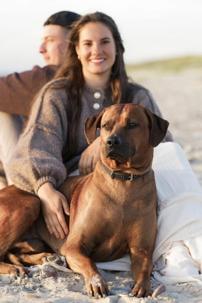 Hundefotografie in Vejers: Brauner Hund liegt auf Sand, dahinter lachende Frau im Strickpullover.