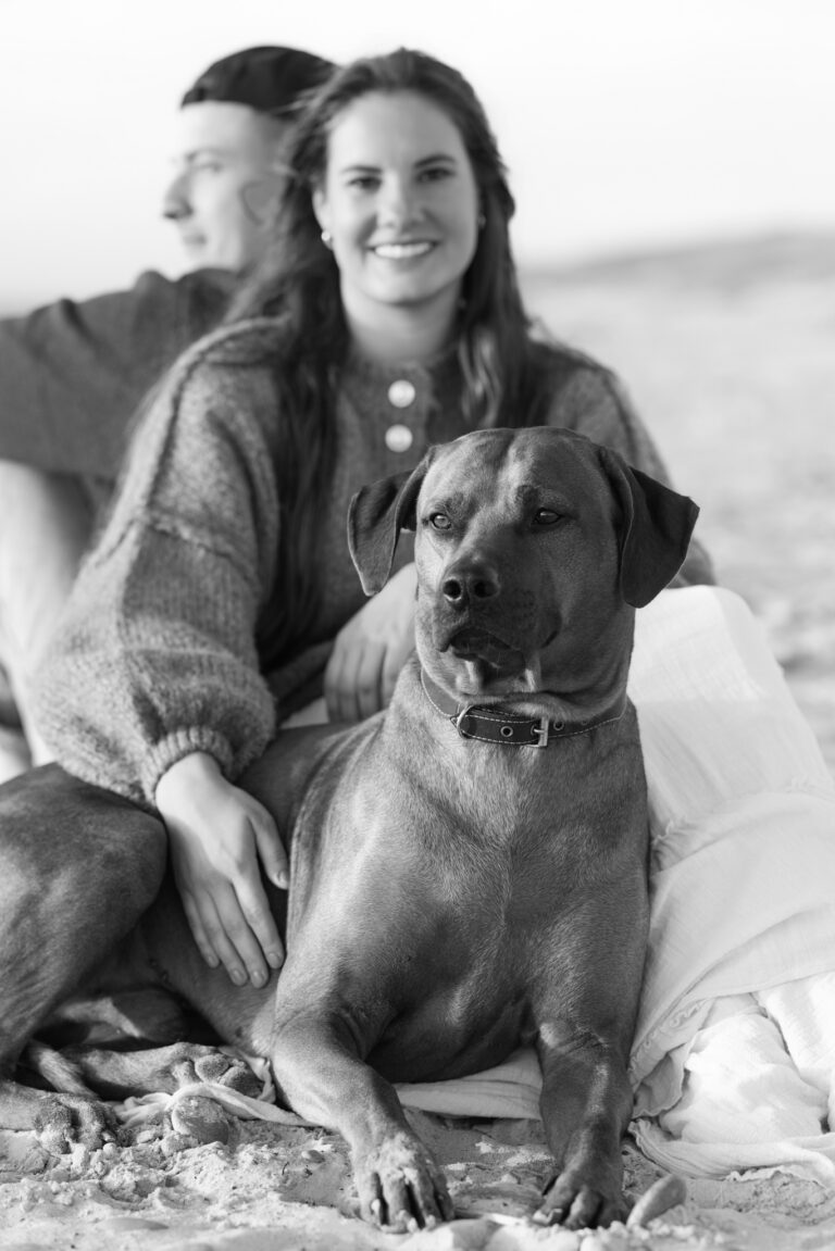 Hundefotografie in Blåvand: Hund sitzt scharf auf Sand, Paar unscharf im Hintergrund am Strand.