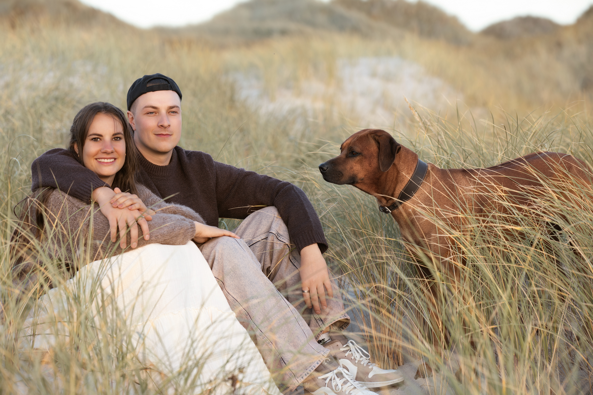 Hundefotografie in Blåvand: Paar sitzt mit braunem Hund im hohen Dünengras im goldenen Abendlicht