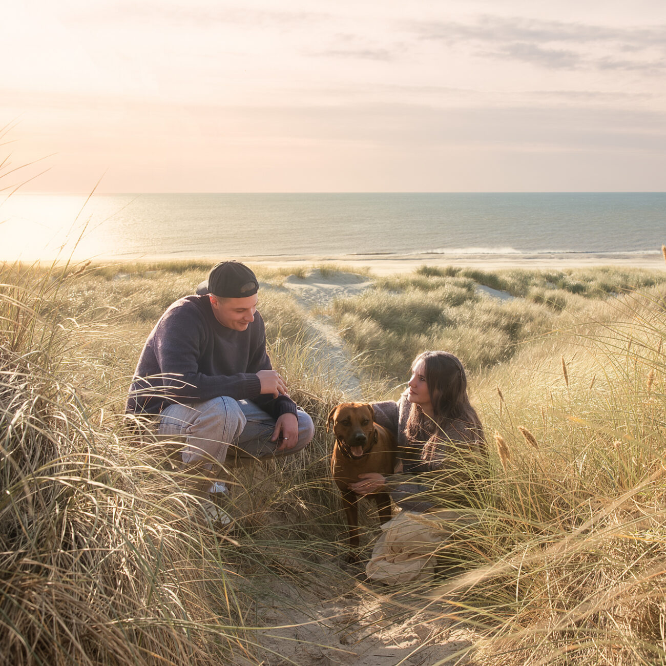 Hundefotografi i Henne: par sidder med brun hund i klitterne ved solnedgang